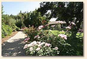 Blossom Trail Bed and Breakfast, Sanger, California
